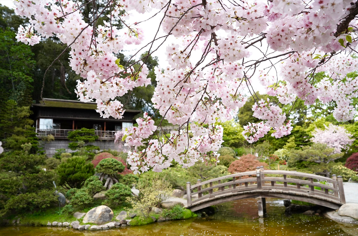 hakone garden